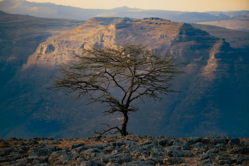 Ethiopia Simien Mountains and Lalibela