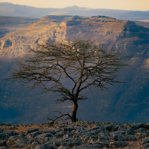 Ethiopia Simien Mountains and Lalibela