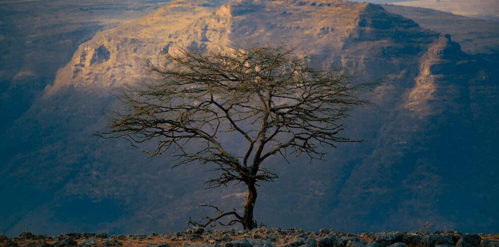 Ethiopia Simien Mountains and Lalibela