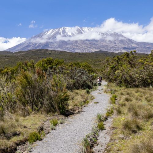 Mount Kilimanjaro climb, Tanzania