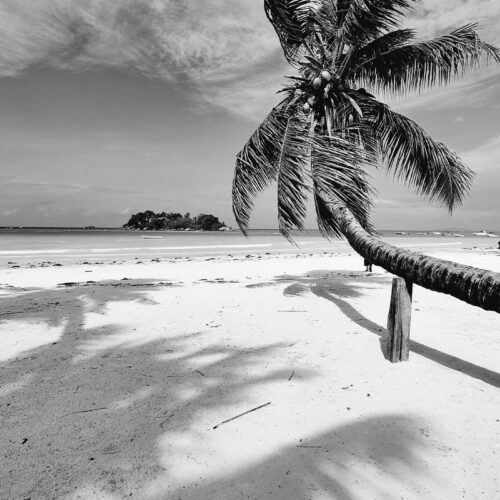 Seychelles islands honeymoon