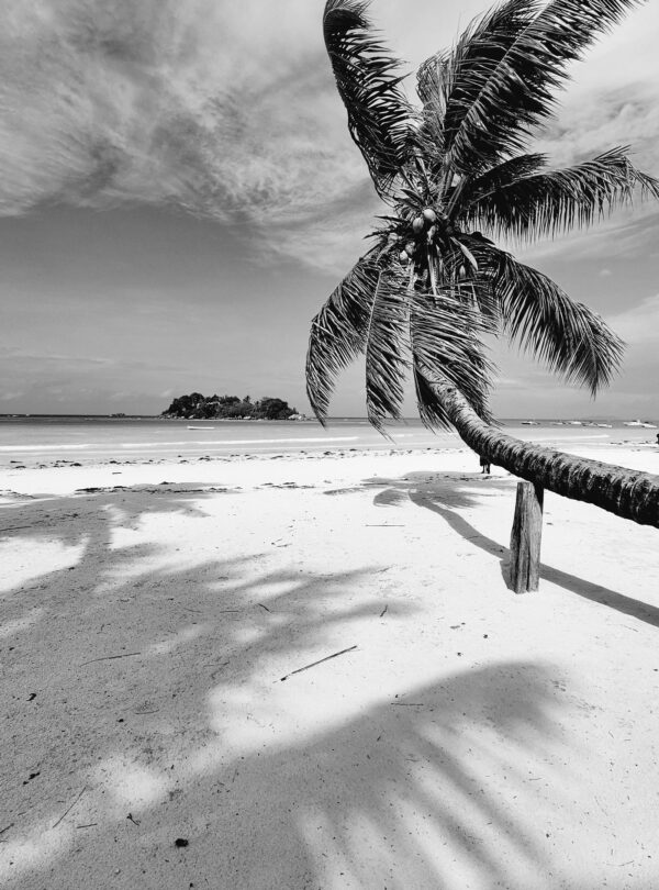 Seychelles islands honeymoon