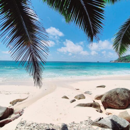 Seychelles islands honeymoon