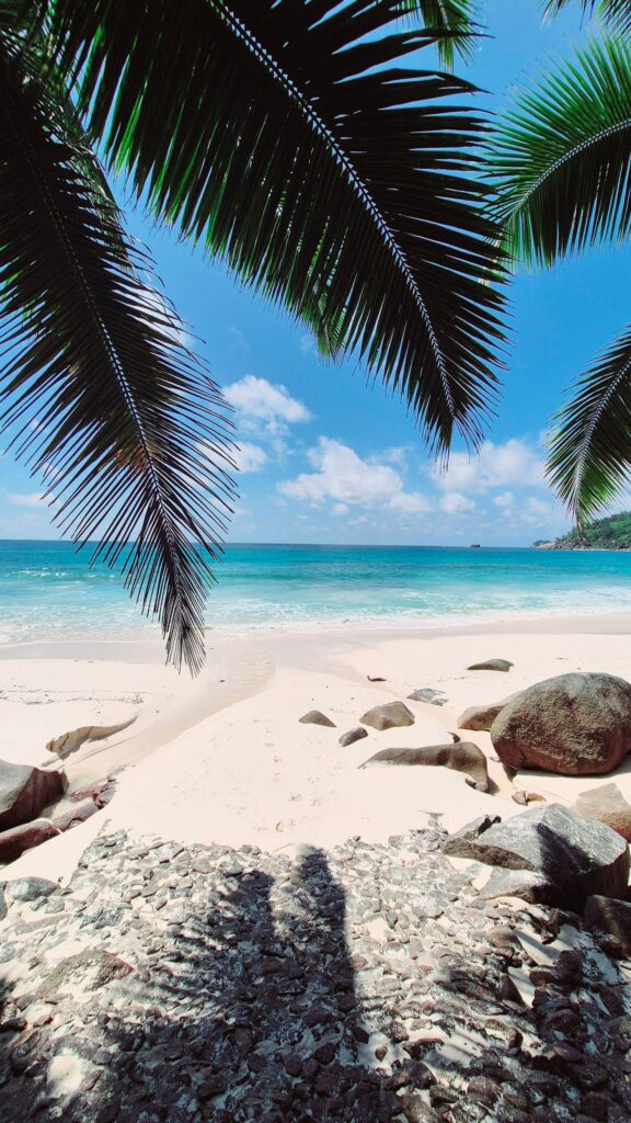 Seychelles islands honeymoon