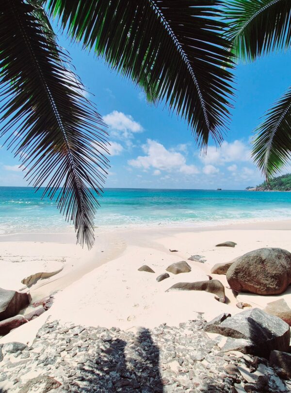 Seychelles islands honeymoon