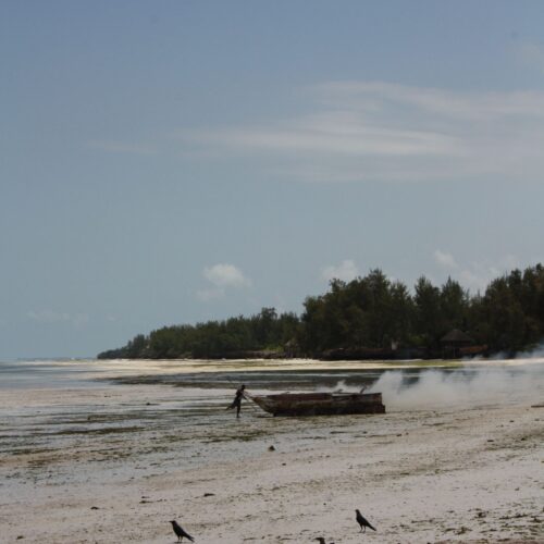 Zanzibar beach, Tanzania