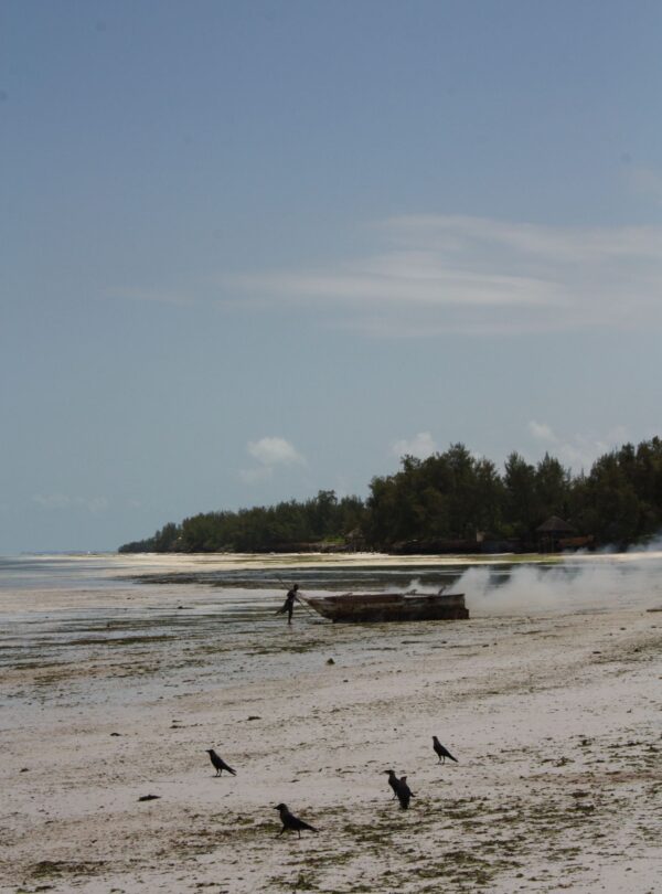 Zanzibar beach, Tanzania