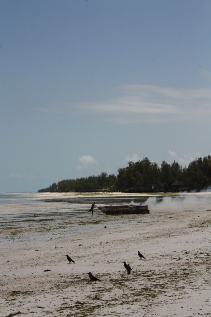 Zanzibar beach, Tanzania