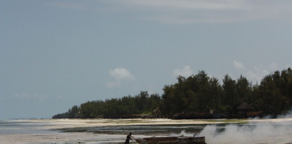 Zanzibar beach, Tanzania